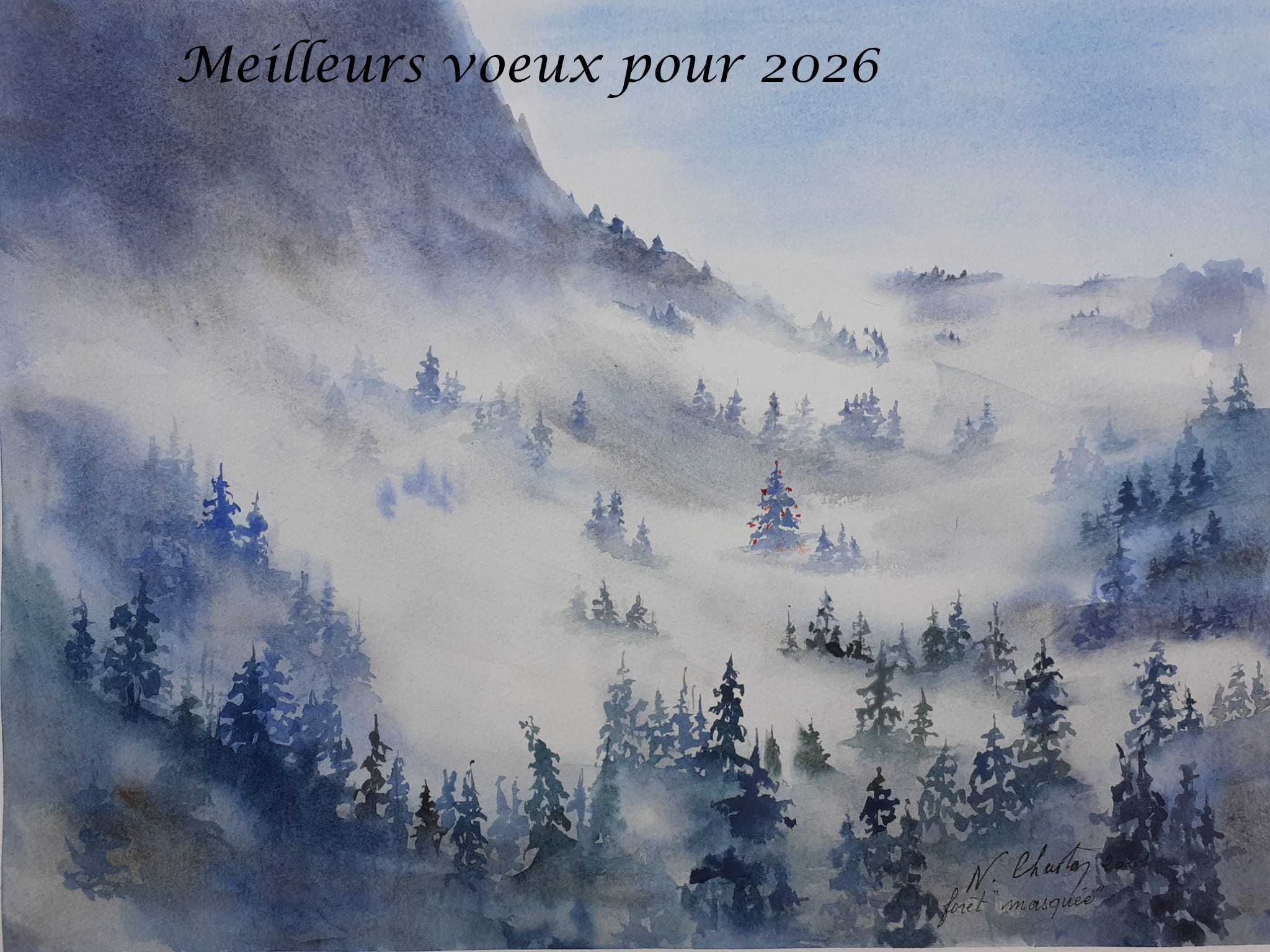 Bonne année 2026 - Nicole C_3.jpg